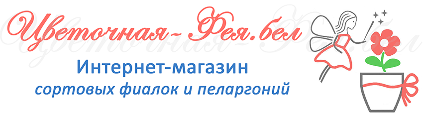 Интернет-магазин Цветочная-Фея.бел Интернет-магазин Цветочная-Фея.бел